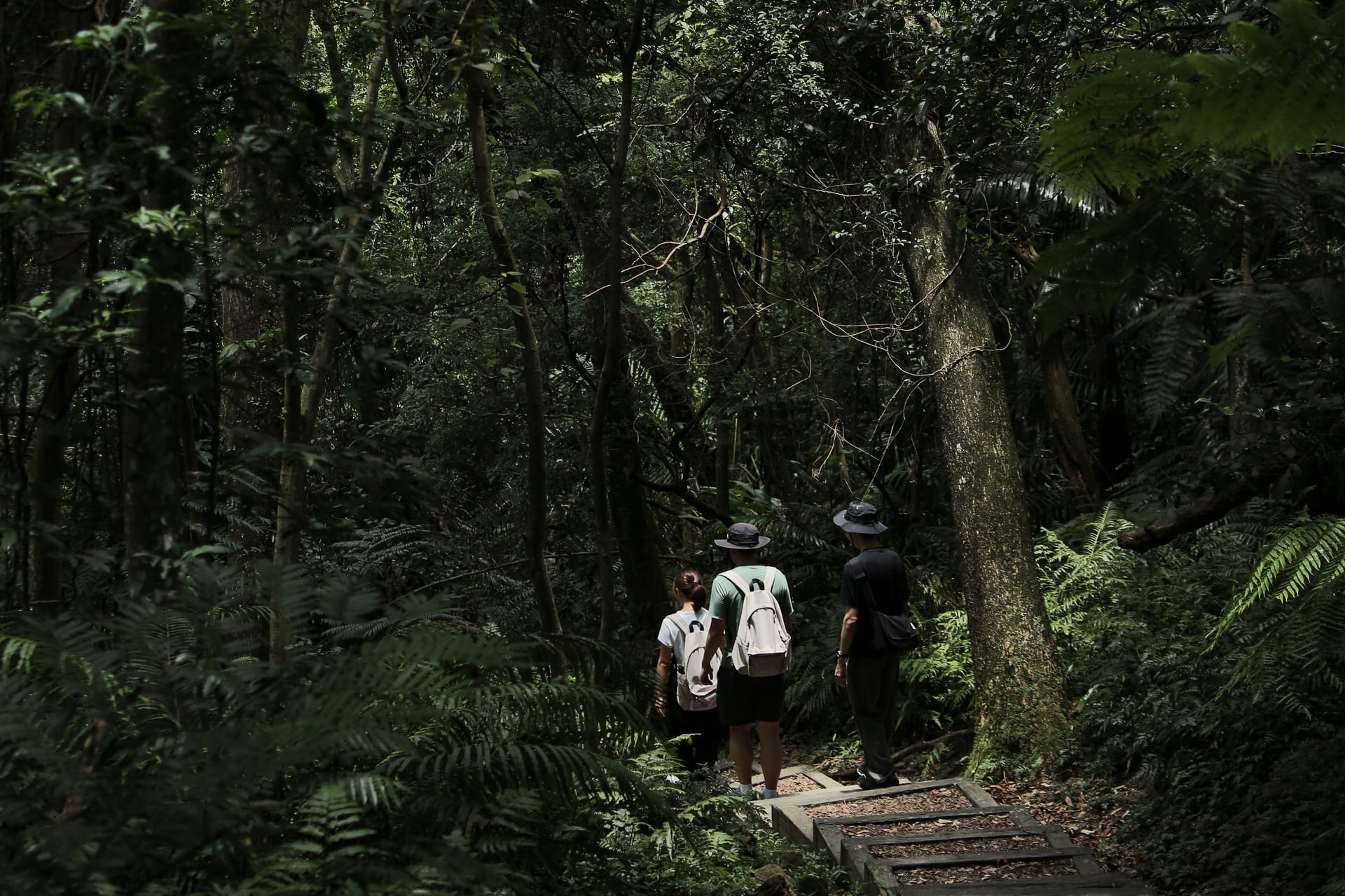 指南宮竹柏參道