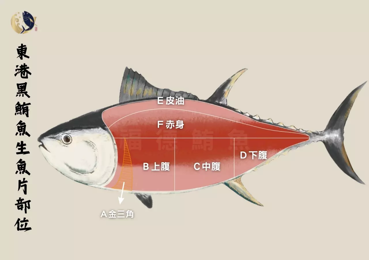 Credit: 福德鮪魚 黑鮪魚部位圖