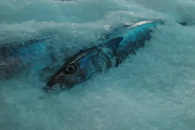 Life moment 345